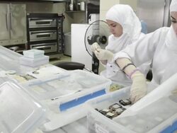 Packing pastry boxes Stock Footage