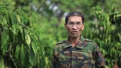 Vietnamese coffee growers affected by climate change Instructional Video