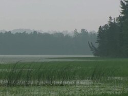 MS Shot of Mississippi river / Lake Itasca, Minnesota, United States  Stock Footage