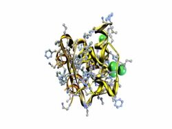 Model of Human Insulin - NTSC Stock Footage