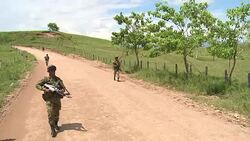 CLEAN : Rebels Colombia eye peace deal strides News Clip