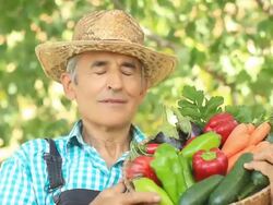 Farmer Picking Vegetables Stock Footage