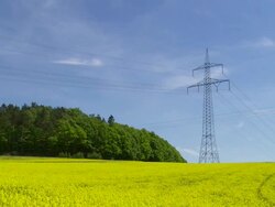 Rape Field and Electricity Pylon (Time Lapse) Stock Footage