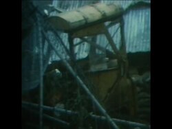 SYND 14 7 72 ARMY IN ULSTER SITUATION News Clip