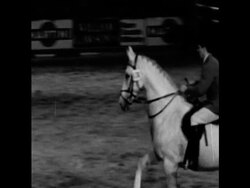 CAN939 WEST GERMANY WINS SHOW JUMPING COMPETITION IN FRANKFURT Instructional Video