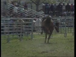 USA: NEW YORK: 15TH ANNUAL BLACK WORLD CHAMPIONSHIP RODEO News Clip