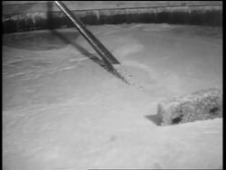 B/W 1932 close up wooden mixer on pole being lowered into vat of foamy whiskey / Louisville, KY Stock Footage