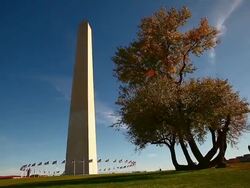 Lens flare pan of Washington Monument and its grounds in Washington DC Stock Footage