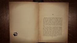 TED-ED: Mysteries of vernacular: Tuxedo - Jessica Oreck Instructional Video