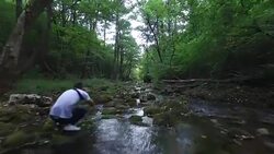 Flight above the forest river Stock Footage