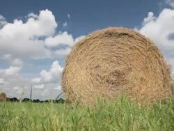Hay Bales Stock Footage