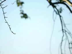Views Of British Farming Stock Footage