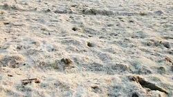 Barren field with salt crystals Stock Footage