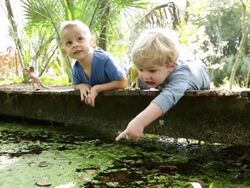 LA Two young boys laying on bridge pointing and looking down to the water. Stock Footage