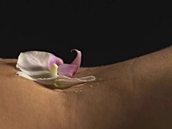 HD: Water Drops Over Orchid In Belly Button Stock Footage