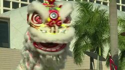 CLEAN : Traditional lion dances mark the start of 2015 in Hong Kong News Clip