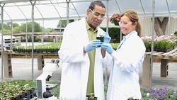 Scientists taking soil samples in professional greenhouse laboratory Stock Footage
