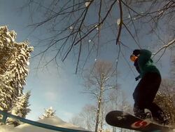 A young man snowboarding through trees and doing a rail slide trick. - Slow Motion - Model Released - HD Stock Footage