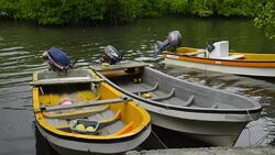 Pohnpei Micronesia boats on water at local homes used for fishing Stock Footage