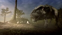 A Tyrannosaurus rex examines a hatchling. Stock Footage