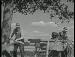 Electric potato grader, UK  1939 Stock Footage