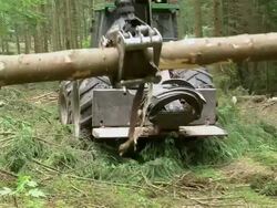 MS Loading machine at work in forest / Zerf, Rhineland Palatinate, Germany Stock Footage