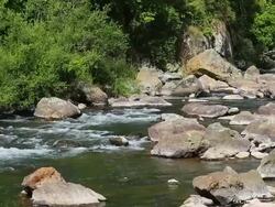 Flowing Water in New Zealand Stock Footage