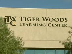 Earl Woods statue dedication and Tiger Woods Fist Pump Challenge launch Stock Footage