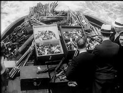 Gangsters' Weapons Dumped Into the Sea News Clip