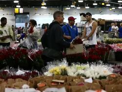 Sydney Flower Market Busy For Valentines Day Stock Footage