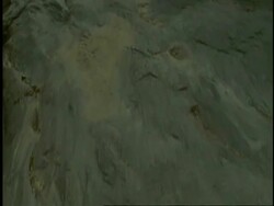 Point of view shot, tracking forward alongside forest stream, Western Ghats, India Stock Footage