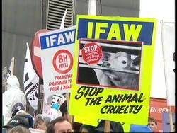 BELGIUM: BRUSSELS: BRIGITTE BARDOT JOINS ANIMAL RIGHTS DEMO News Clip