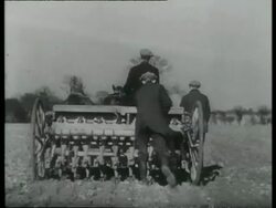 Drilling the seed grain with horse drawn drill, England, UK 1940 Stock Footage