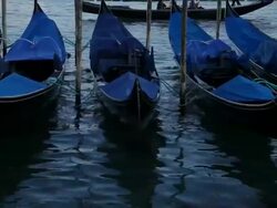 WS LD Gondolas Moored in Water / Venice, Italy Stock Footage