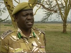 Rangers in Kenya relocate thousands of wild animals News Clip