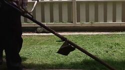 lawnmower man cutting grass in home gardening Stock Footage
