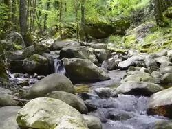 MS Shot of Solenzara Mountain rock river in forest / Col de Bavella, Corsica, France Stock Footage