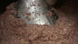 A machine grinds meat in a sausage making plant. Stock Footage