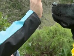 HD SLOW-MOTION: High five Stock Footage