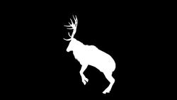 Stag Curvet Silhouette (Loopable) Stock Footage