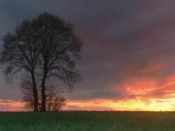 HD Motion Time-Lapse: Countryside At Sunset Stock Footage