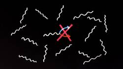 A Brief History of Everything, feat. Neil deGrasse Tyson Instructional Video