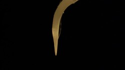 Water drips from a pointed stem. Stock Footage