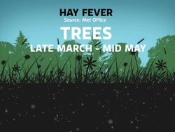 Late Spring Could Be Bad for Hayfever Sufferers News Clip