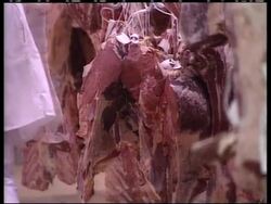 FRANCE:  BSE IN BEEF CONCERNS  (V) News Clip