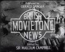 Age of Stunts. News Clip