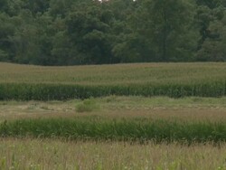 America's agriculture heartland Stock Footage