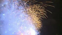 CLEAN : London bids goodbye to golden year News Clip