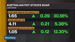 Aussie Pot Stocks Soar as Rules Ease News Clip