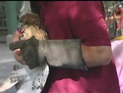 A juvenile red-tailed male hawk is released into the wilds of New York City. Earlier, he was rescued from the streets of the Bronx by caring residents, then nursed back to health. News Clip